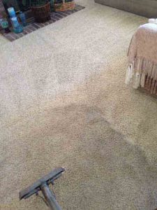 Tustin Carpet Cleaning Service