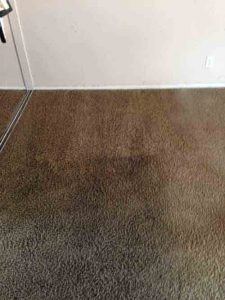 Carpet Cleaning East Irvine