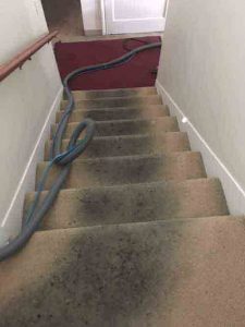Carpet Cleaning Fountain Valley