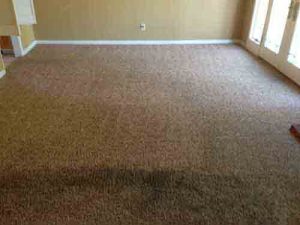 San Clemente Carpet Cleaning