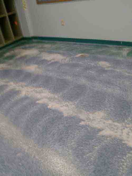 Huntington Beach Local Lake Forest Carpet Cleaning