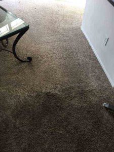 Lake Forest Carpet Cleaning