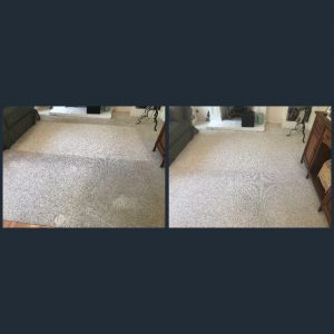 lake forest carpet cleaning experts