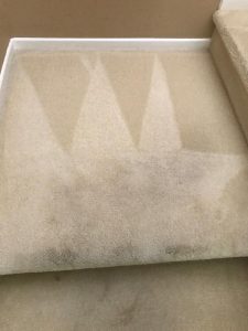 green carpet cleaning in lake forest ca