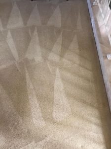 carpet cleaning near me